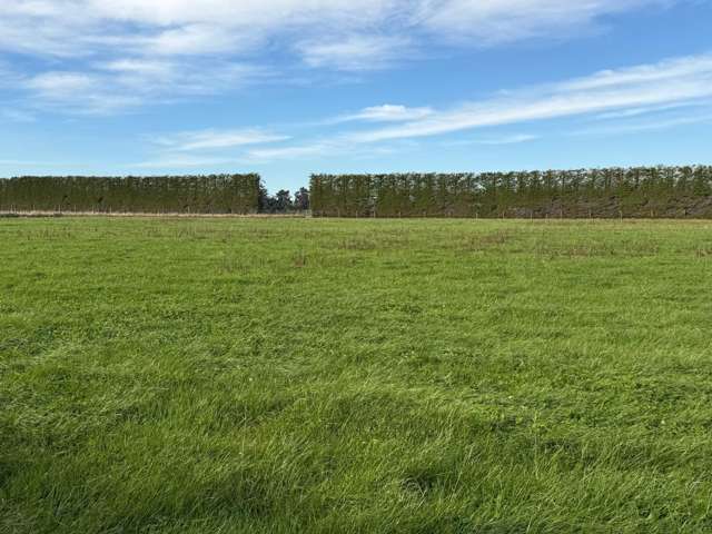 Thomsons Crossing Road Thomsons Crossing_3