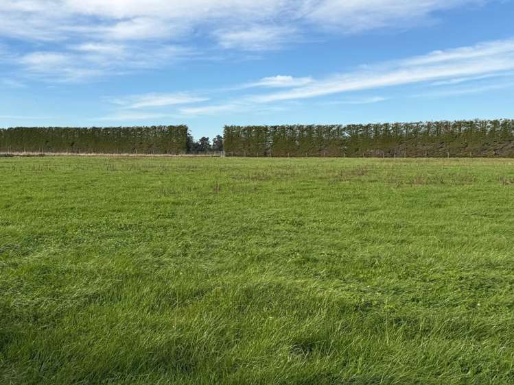 Thomsons Crossing Road Thomsons Crossing_3