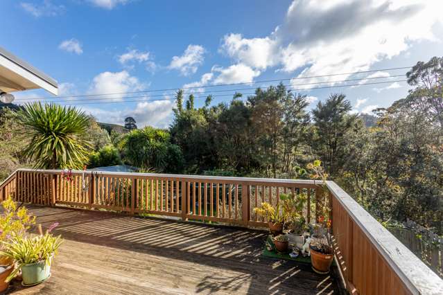 121 Te Tutu Street Whangamata_1