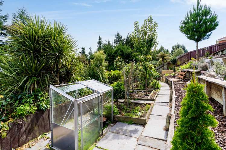 108 Mornington Road Kenmure_16