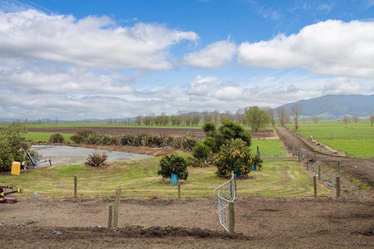 435 and 452 Tainui Road Morrinsville_22
