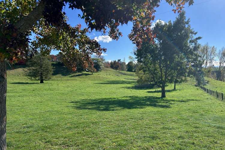 207 Rotowai Road Omakere_13