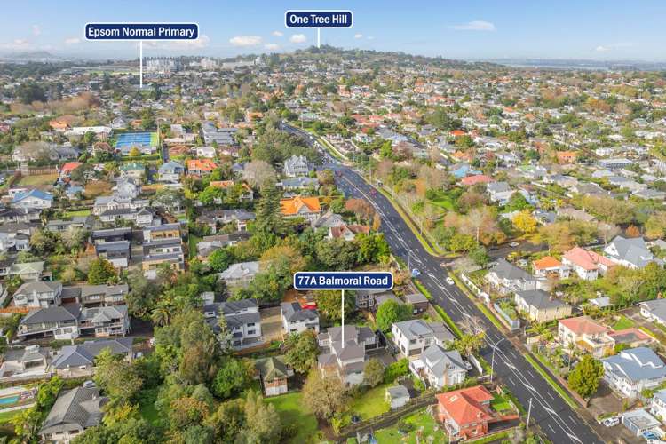 77a Balmoral Road Mount Eden_7