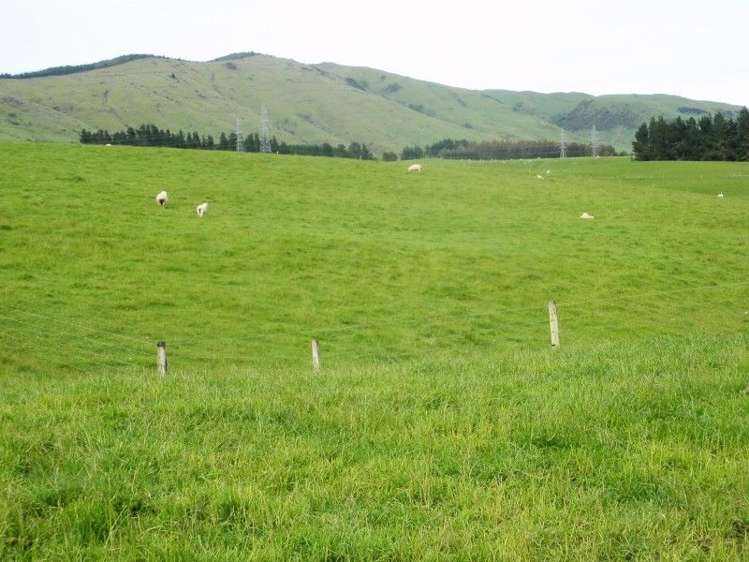 1011 Birchwood Wairio Road Birchwood_0