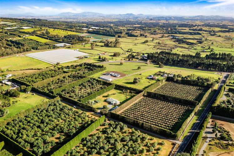 42 Snooks Road Maungatapere_5