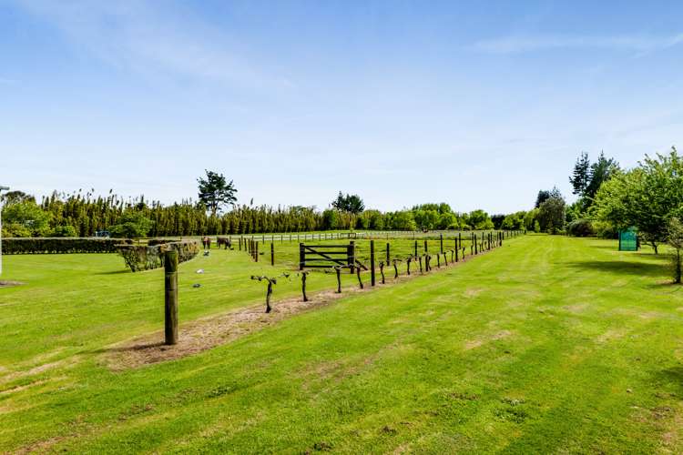 129 Richmond Road Waitara_11