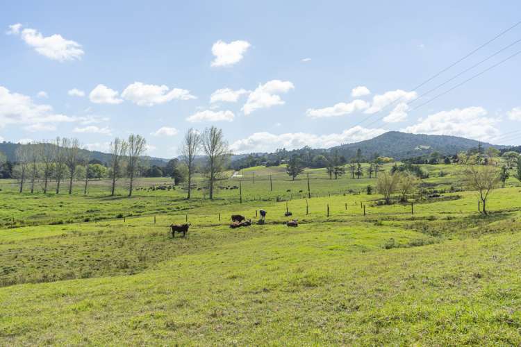 279 Russell Road Whakapara_30