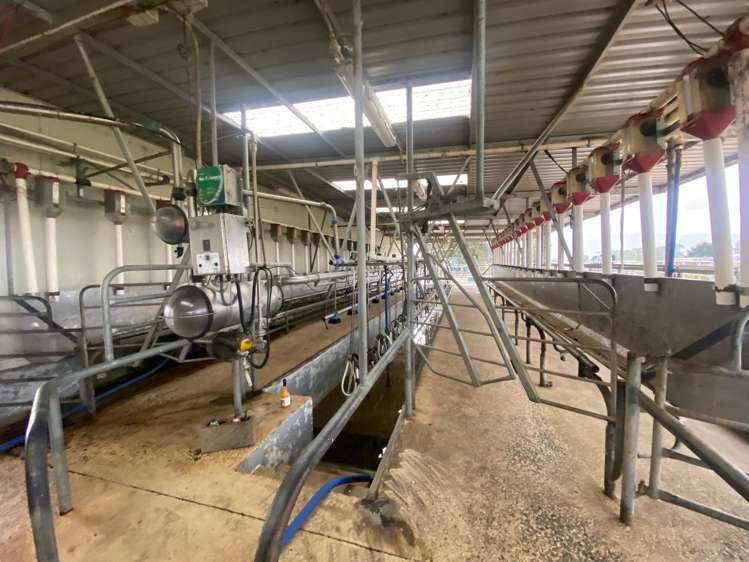 137 and 179 Kirks Drain Road Momona_16