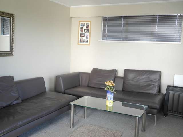 3/20 Selwyn Street Maori Hill_1