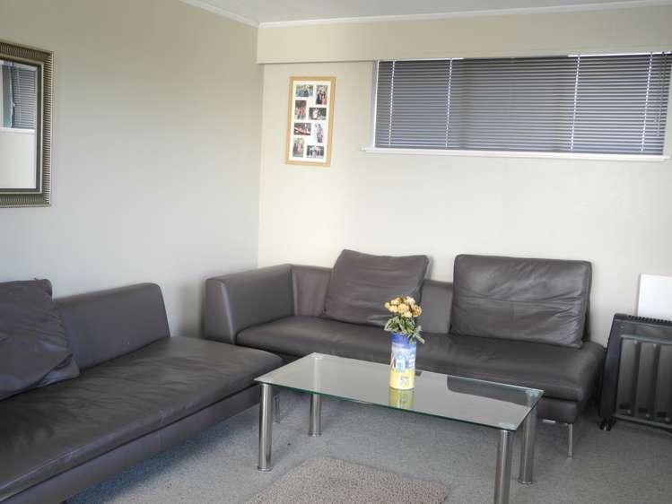 3/20 Selwyn Street Maori Hill_1