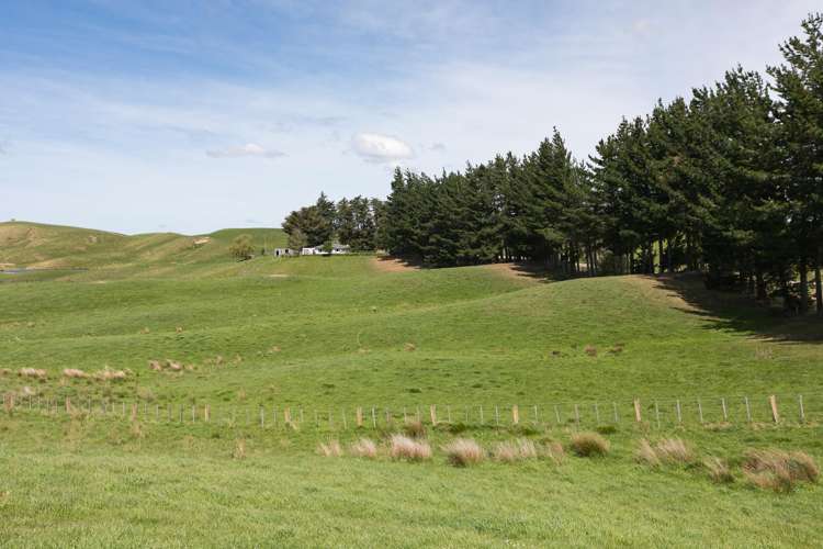 300 Pattison Road Waipukurau_16