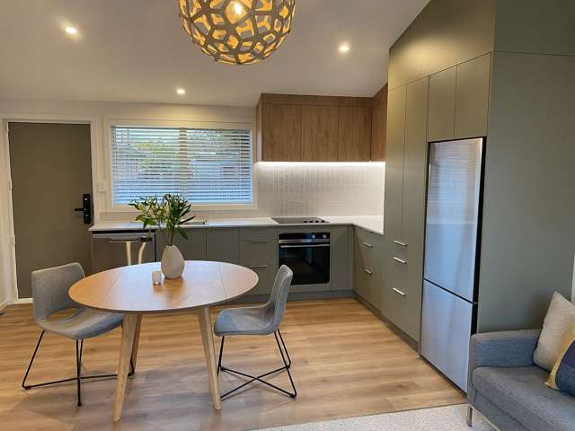 103B Rimu Street Maeroa_2