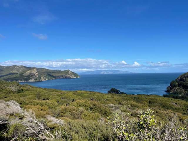 560 Blind Bay Road Great Barrier Island_4