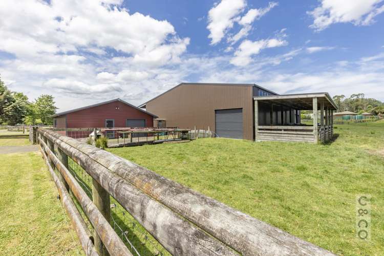 522 State Highway 16 Kumeu_59