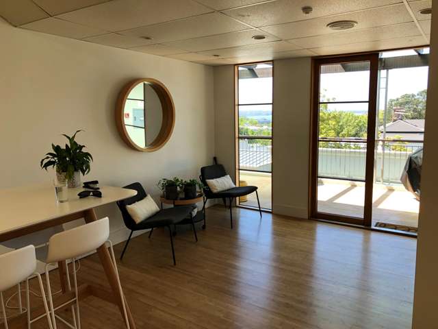 Suite 2.2/63 Ponsonby Road Grey Lynn_1