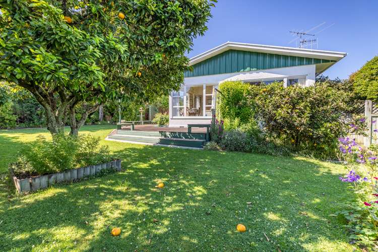 55 Neale Avenue Stoke_11