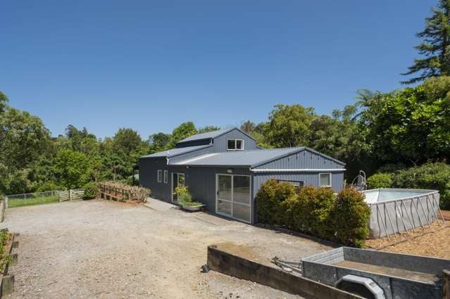 4A Thorn Road Lower Kaimai_4