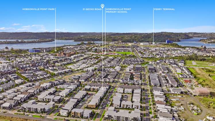 31 Gecko Road Hobsonville_17