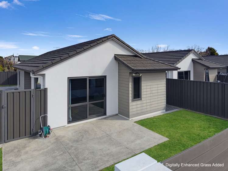206 Park Road North Parkvale_22
