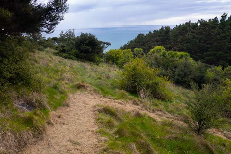 Whaanga Road Raglan_13