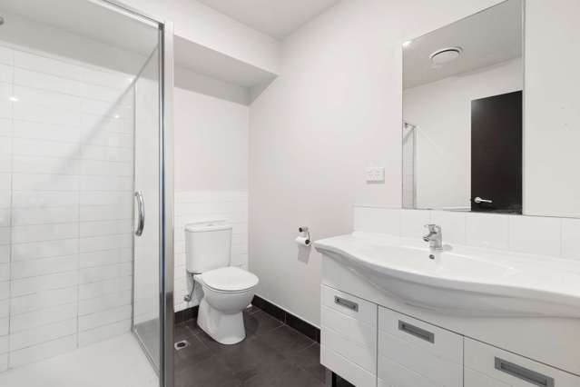 90a Michael Jones Drive Flat Bush_4