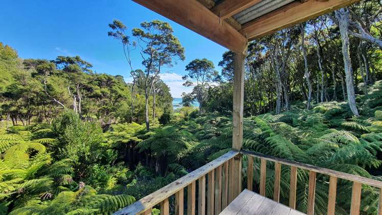 Lots 1 & 2 DP 356808 North Cove Kawau Island_21