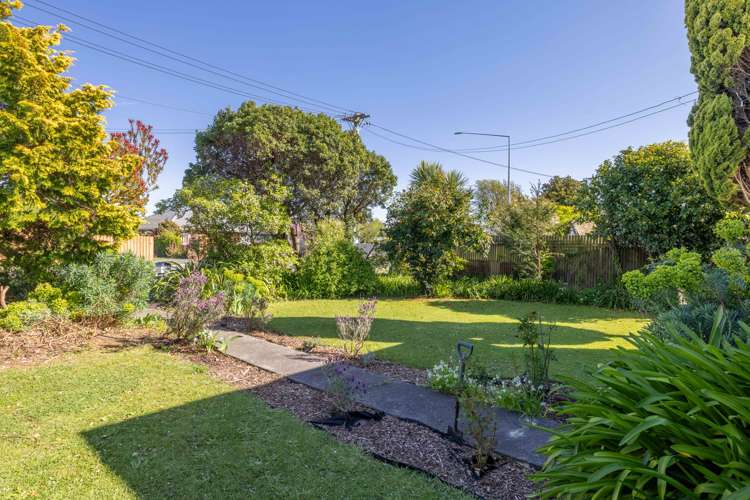 114 Burwood Road Burwood_15