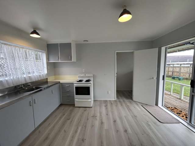 38A Abbotsford St Whitiora_2