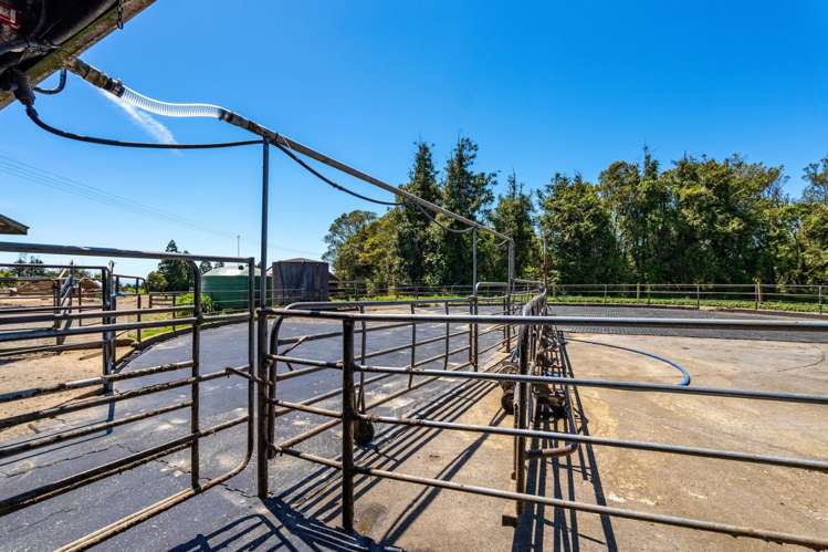 869 Dudley Road Upper Kaimiro_13