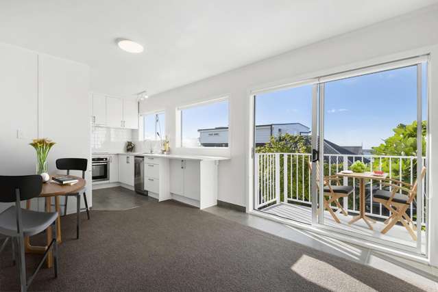 1E Caroline Street St Marys Bay_2
