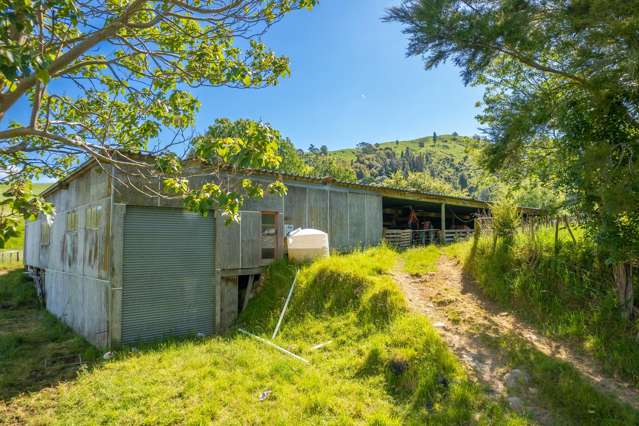 690 Bayley Rd Wharepuhunga_4