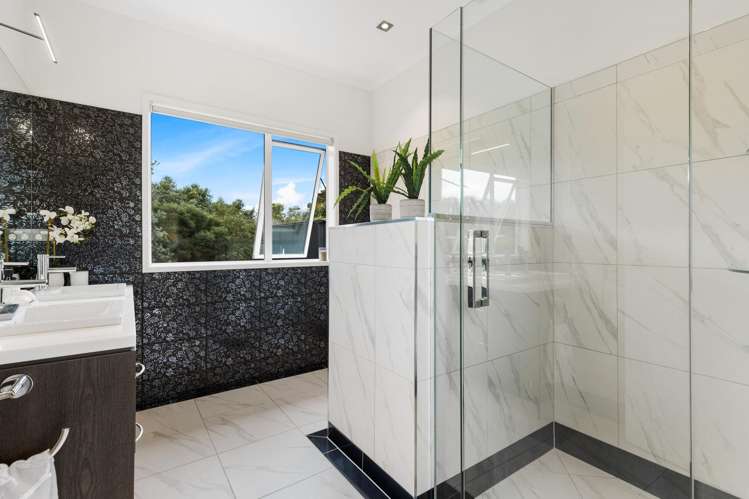 255 Austin Road Dairy Flat_17