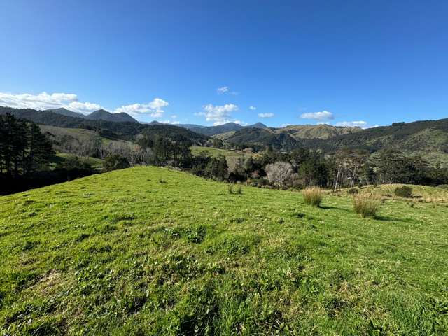 "Unleash your imagination on this 5.7ha bare land, Kauaeranga Valley, Thames"