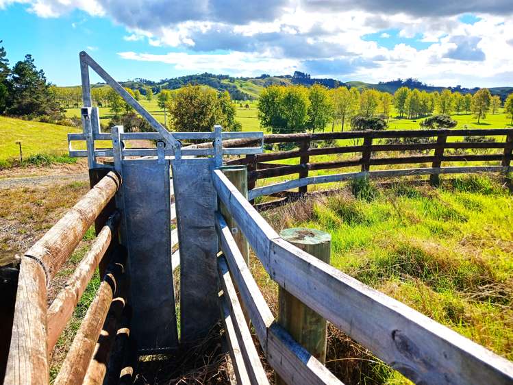 7565 State Highway 1 Kaitaia_12