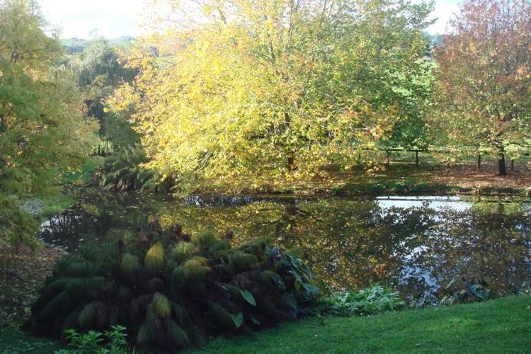 145b Helenslee Road Pokeno_61