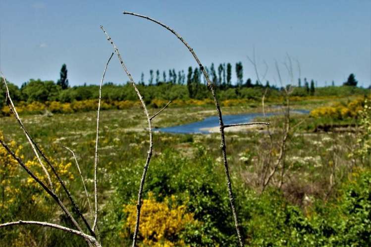 1130 Depot Road Oxford_15