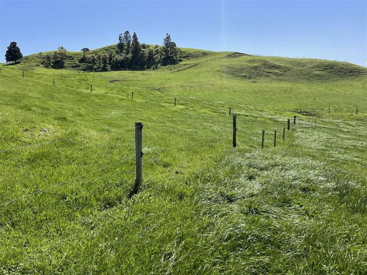 770 Owhiro Road Otorohanga_29