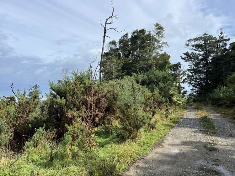 Lot . State Highway 6 Barrytown_1