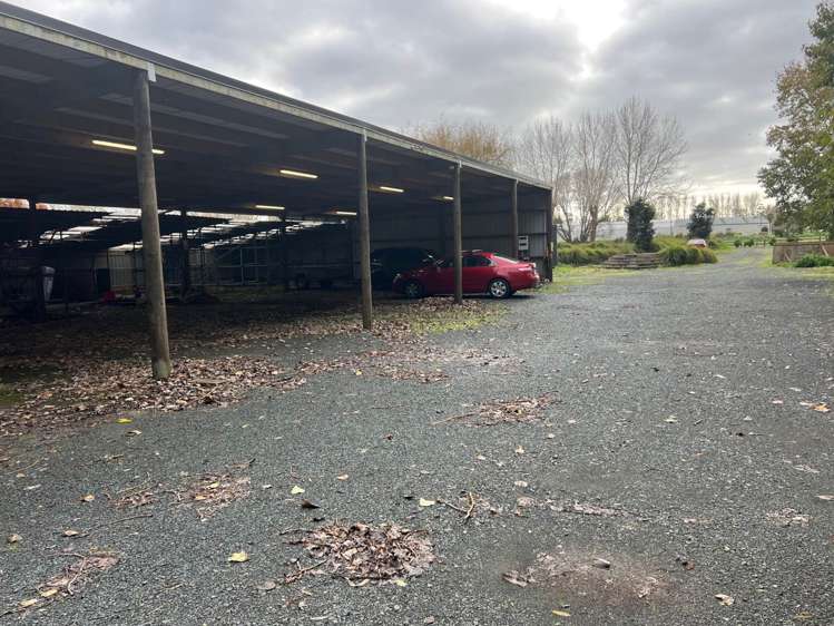 313 Postman Road Dairy Flat_2