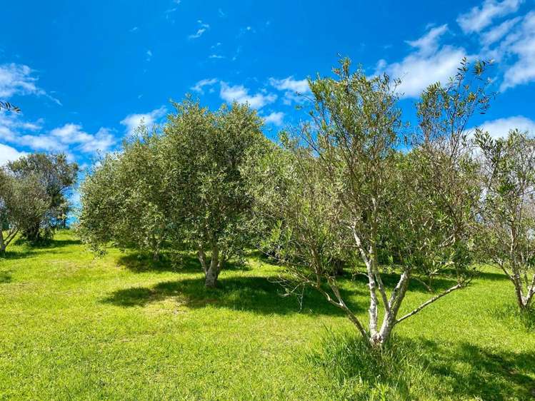 68 Korora Road Oneroa_21