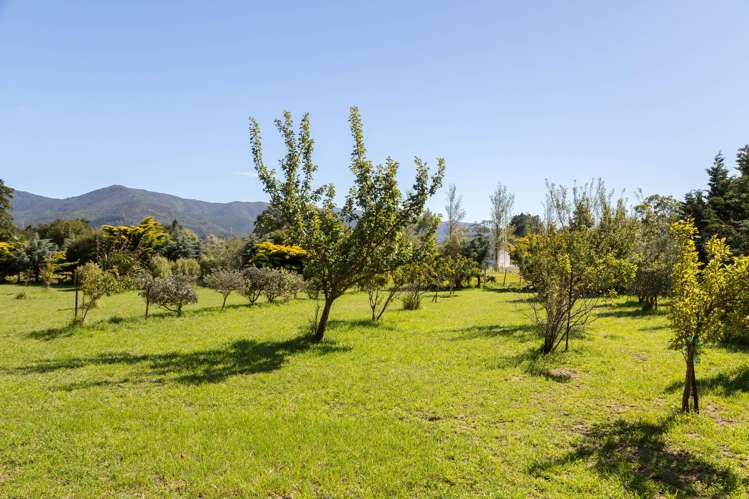 41 Boundary Road Featherston_22