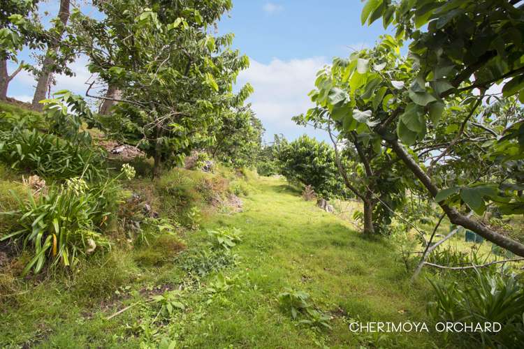 93 James Mackie Road Helensville_23