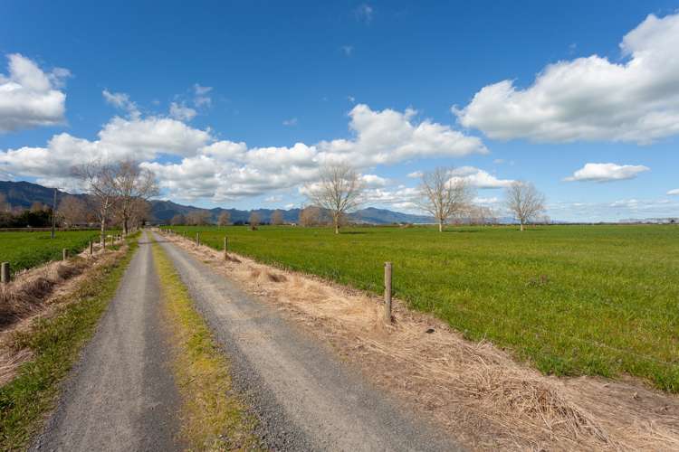 O'Donoghue Road Hauraki Surrounds_7