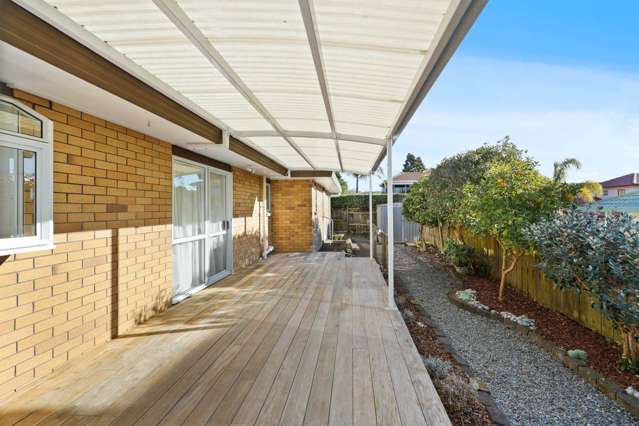 4 Davern Lane New Lynn_4