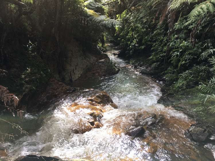 17 Pekama Drive Cable Bay_9