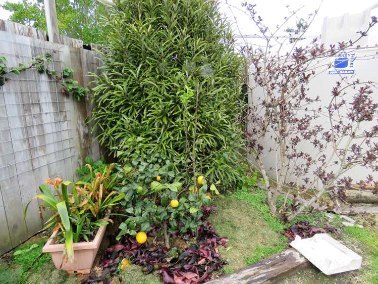 22 Lewis Street Kahurangi National Park_21