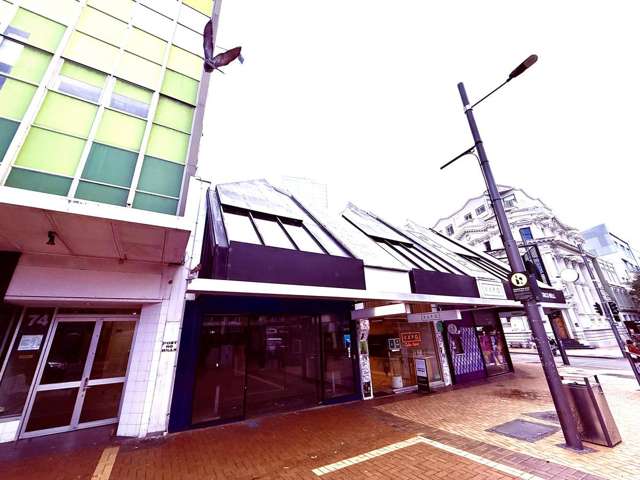 Ground 1.1/94 Manners Street Te Aro_2