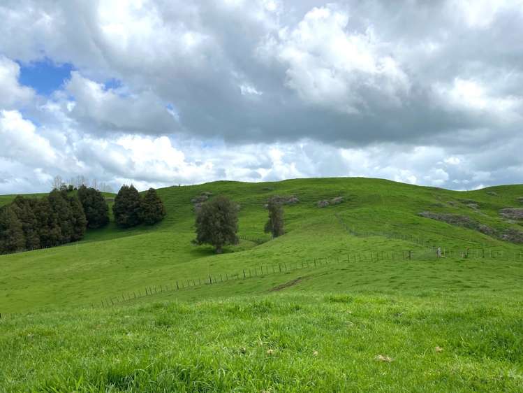 23 Mairoa Road Piopio_9