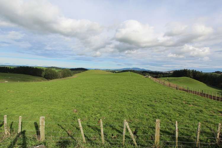 553 Buckland Road Matamata_14