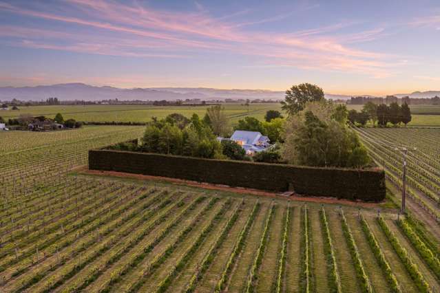 132 Murrays Road Spring Creek_2